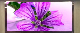 連鎖火鍋店老板哭訴：門頭LED廣告機(jī)讓我多賺了110萬，但千萬別學(xué)我踩這3個(gè)坑！”